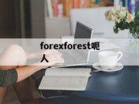 forexforest呃人(theforest代码怎么用)